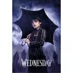 Wednesday-Poster-Downpour-246