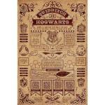 Harry-Potter-Poster-Hogwarts-Quidditch-173
