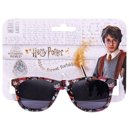 Harry-Potter-Junior-Sunglasses-2