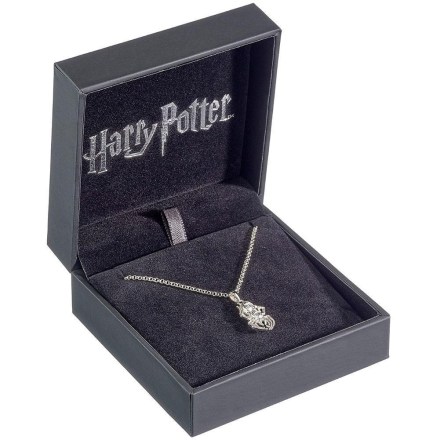 Harry-Potter-Sterling-Silver-Necklace-Aragog-Spider-2