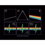 Pink-Floyd-Picture-Heartbeat-16-12