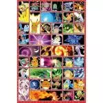Pokemon-Poster-Moves-97