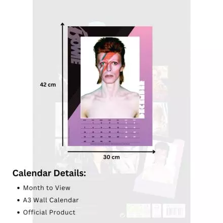 David-Bowie-A3-Calendar-2026-4