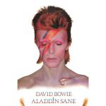 David-Bowie-Poster-Aladdin-Slane-269