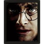 Harry-Potter-Framed-3D-Picture-1