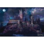 Harry-Potter-Poster-Hogwarts-Night-299
