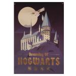 Harry-Potter-XL-Fabric-Wall-Banner