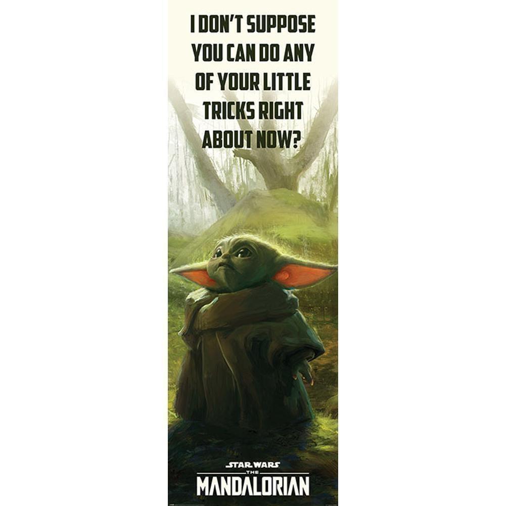 Star Wars The Mandalorian Door Poster 307