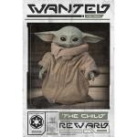 Star-Wars-The-Mandalorian-Poster-Wanted-The-Child-228