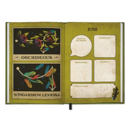 Harry-Potter-A5-Diary-2026-1