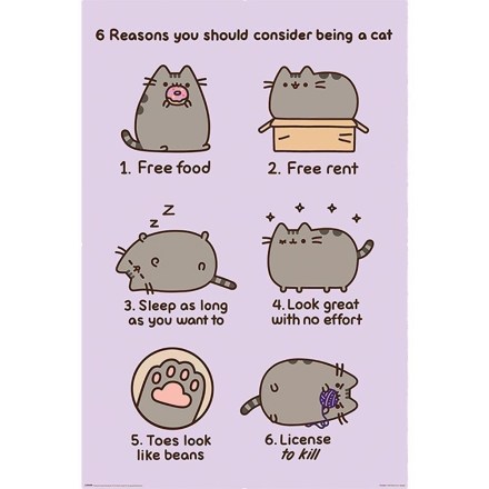 Pusheen-Poster-Reasons-157