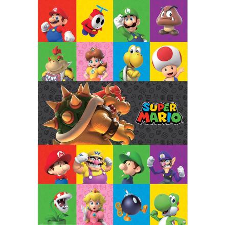 Super-Mario-Characters-Chequered-Poster